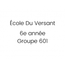 École du Versant 6e année - Groupe 601 - 2023-2024